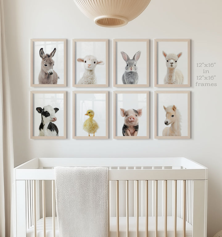 Farm Animals - Set of 8 baby animals Nursery Decor