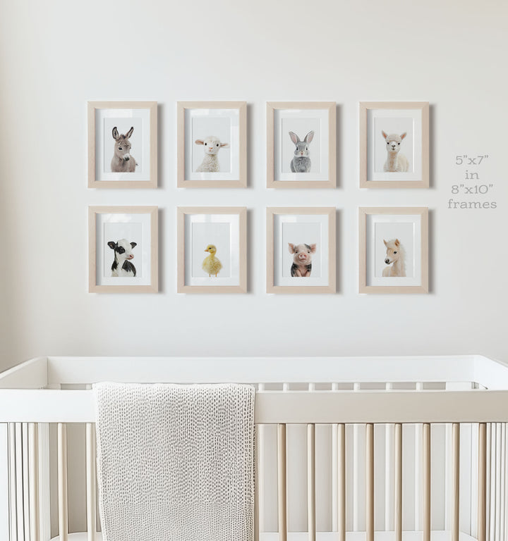 Farm Animals - Set of 8 baby animals Nursery Decor