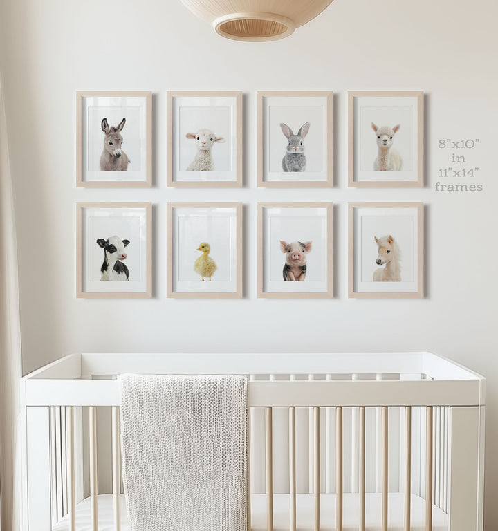 Farm Animals - Set of 8 baby animals Nursery Decor