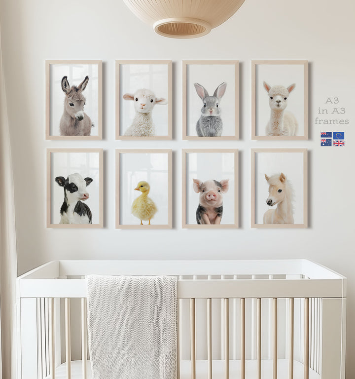 Farm Animals - Set of 8 baby animals Nursery Decor