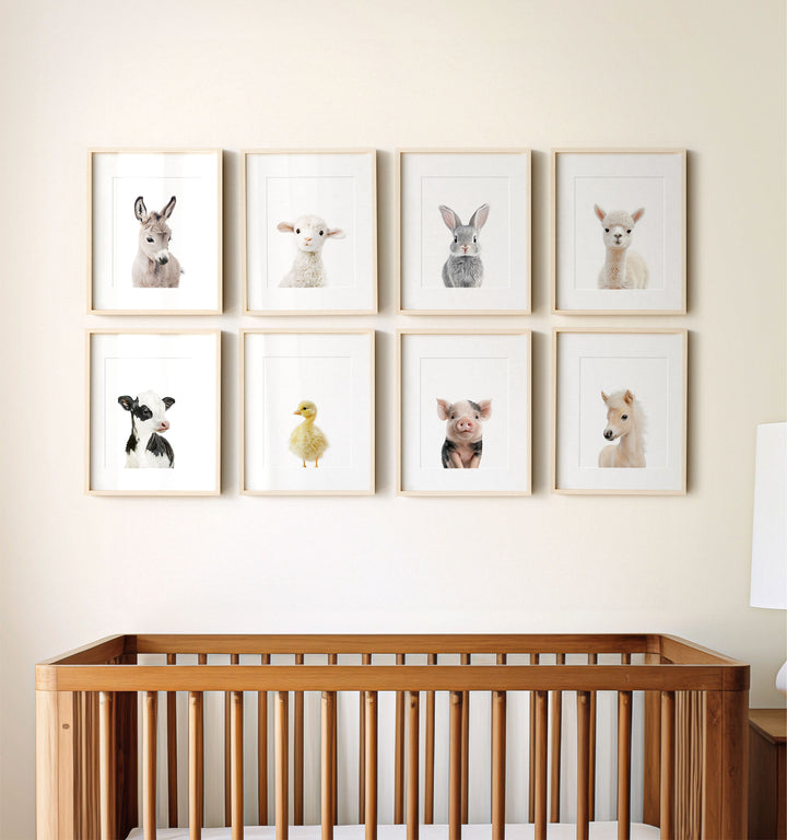 Farm Animals - Set of 8 baby animals Nursery Decor