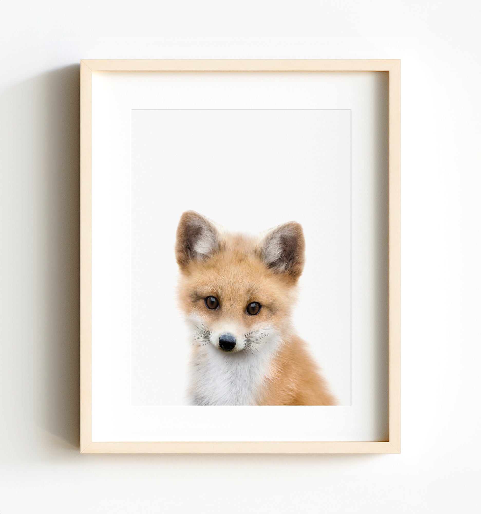 Baby Fox - The Crown Prints