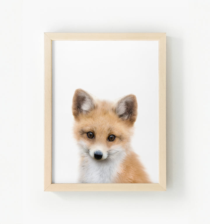 Baby Fox Framed Canvas