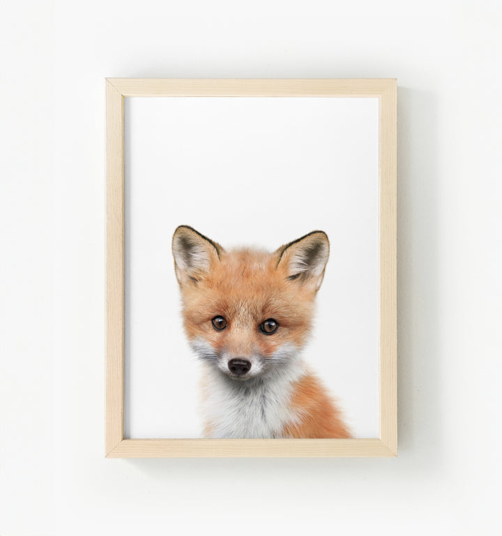 Baby Fox No. 2 Framed Canvas