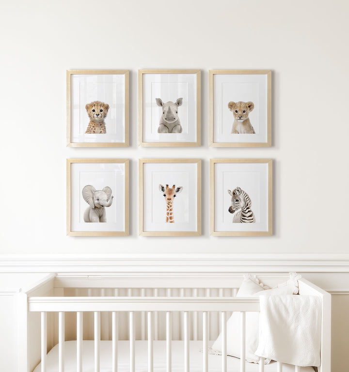 Framed Baby Safari Animals Nursery Decor - African Animals Set of 6