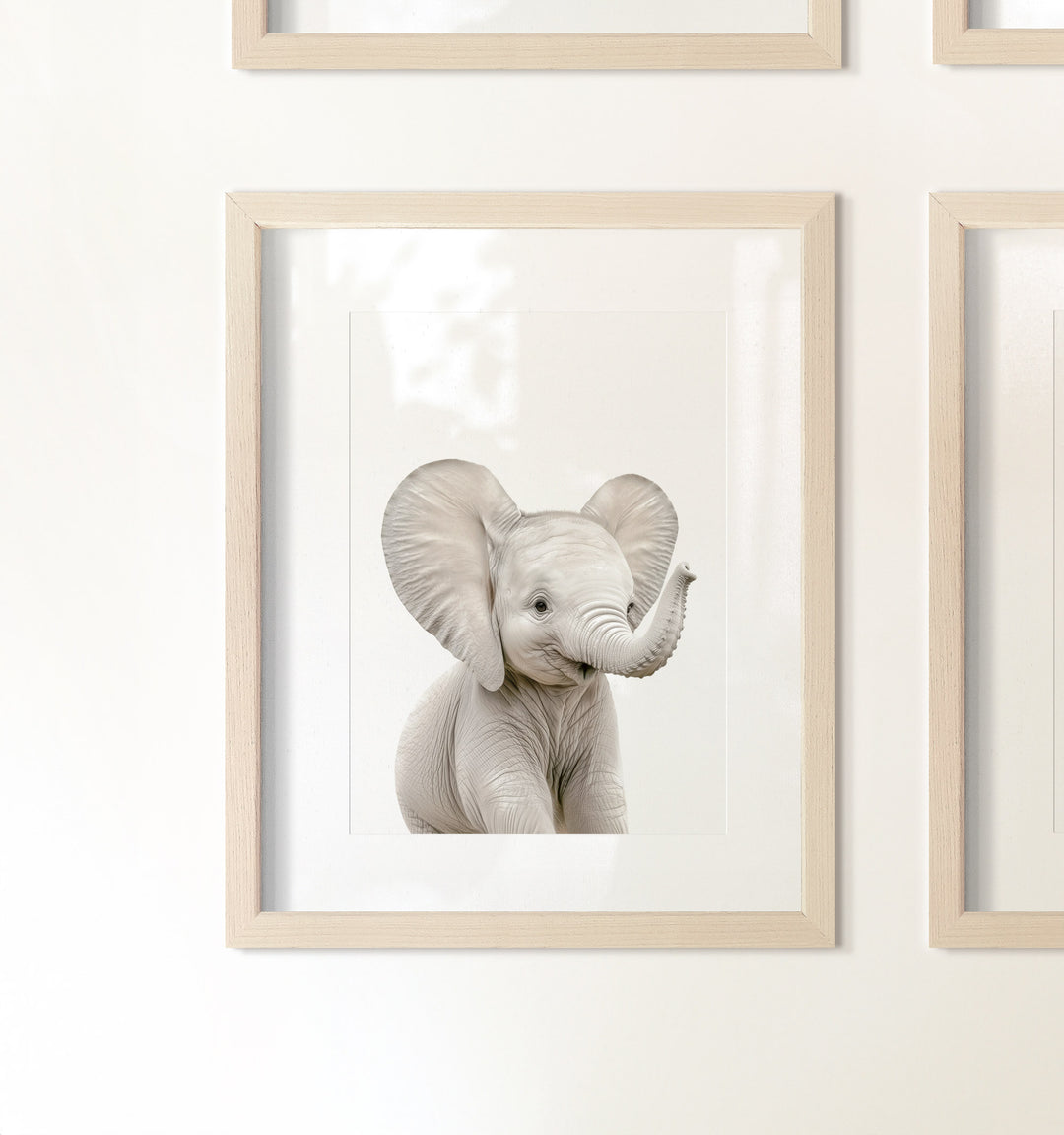 Framed Baby Safari Animals Nursery Decor - African Animals Set of 6