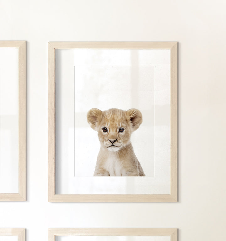 Framed Baby Safari Animals Nursery Decor - African Animals Set of 6