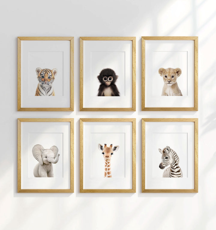 Framed Baby Jungle & Safari Animals Set of 6 Nursery Decor