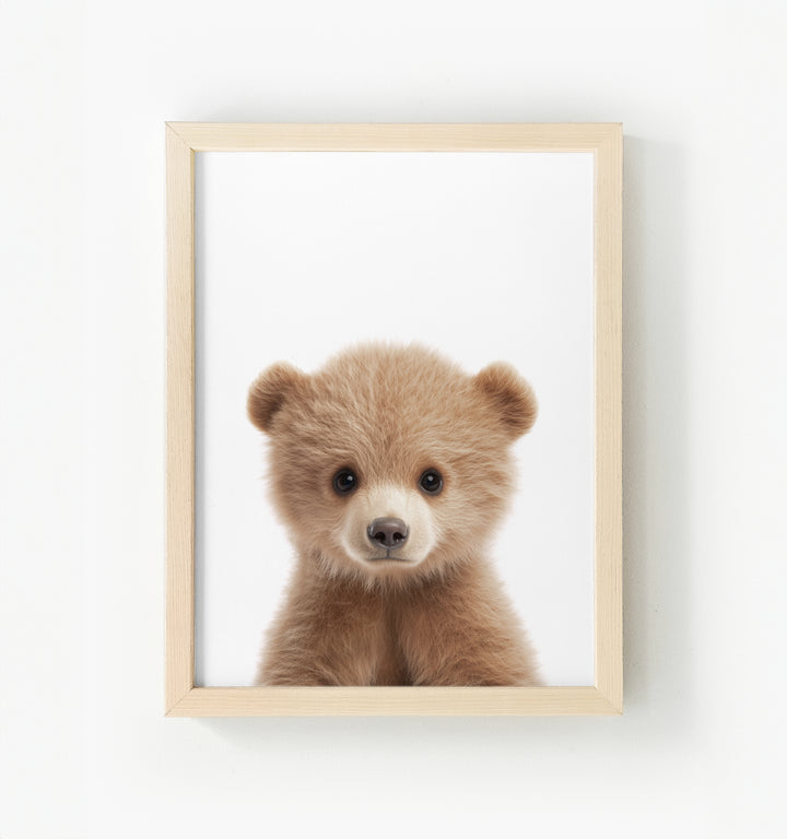 Baby Grizzly Bear Framed Canvas