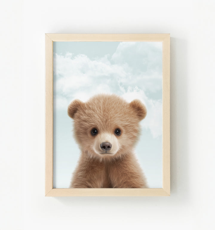 Baby Grizzly Bear Framed Canvas