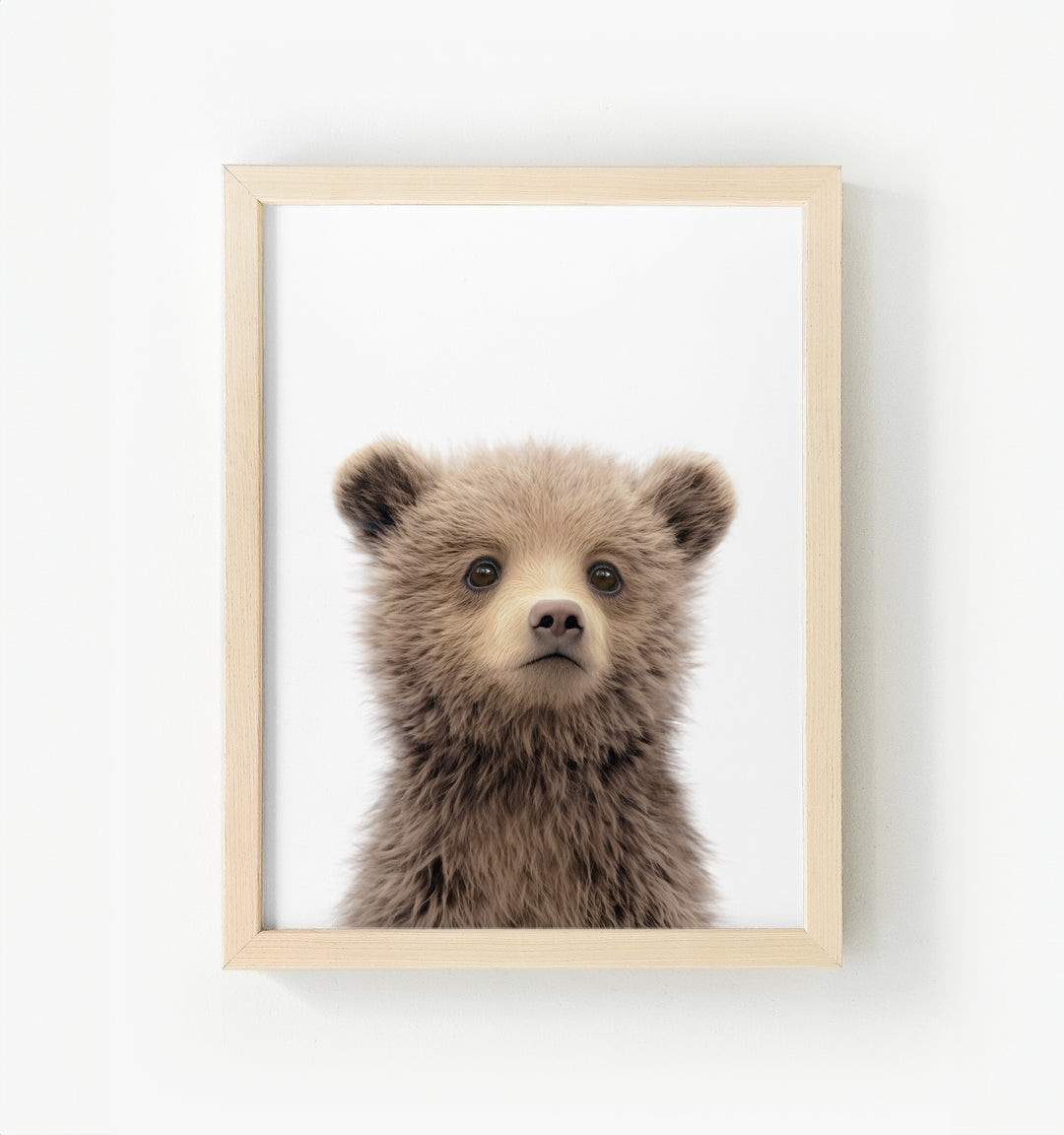 Baby Grizzly Bear Framed Canvas