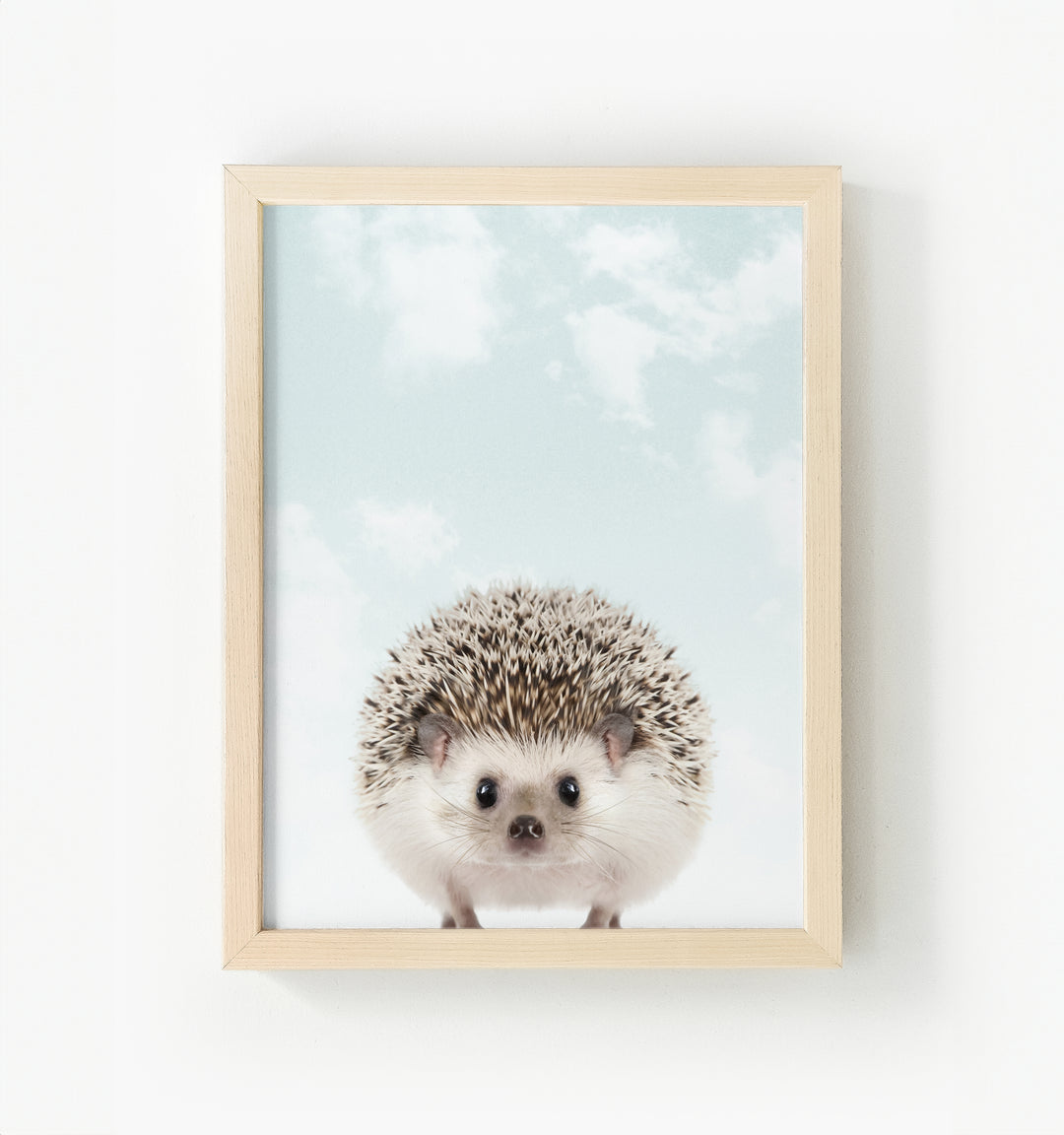 Baby Hedgehog Framed Canvas