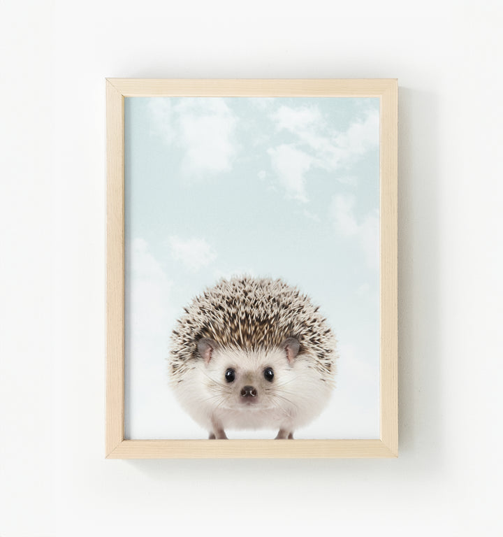 Baby Hedgehog Framed Canvas