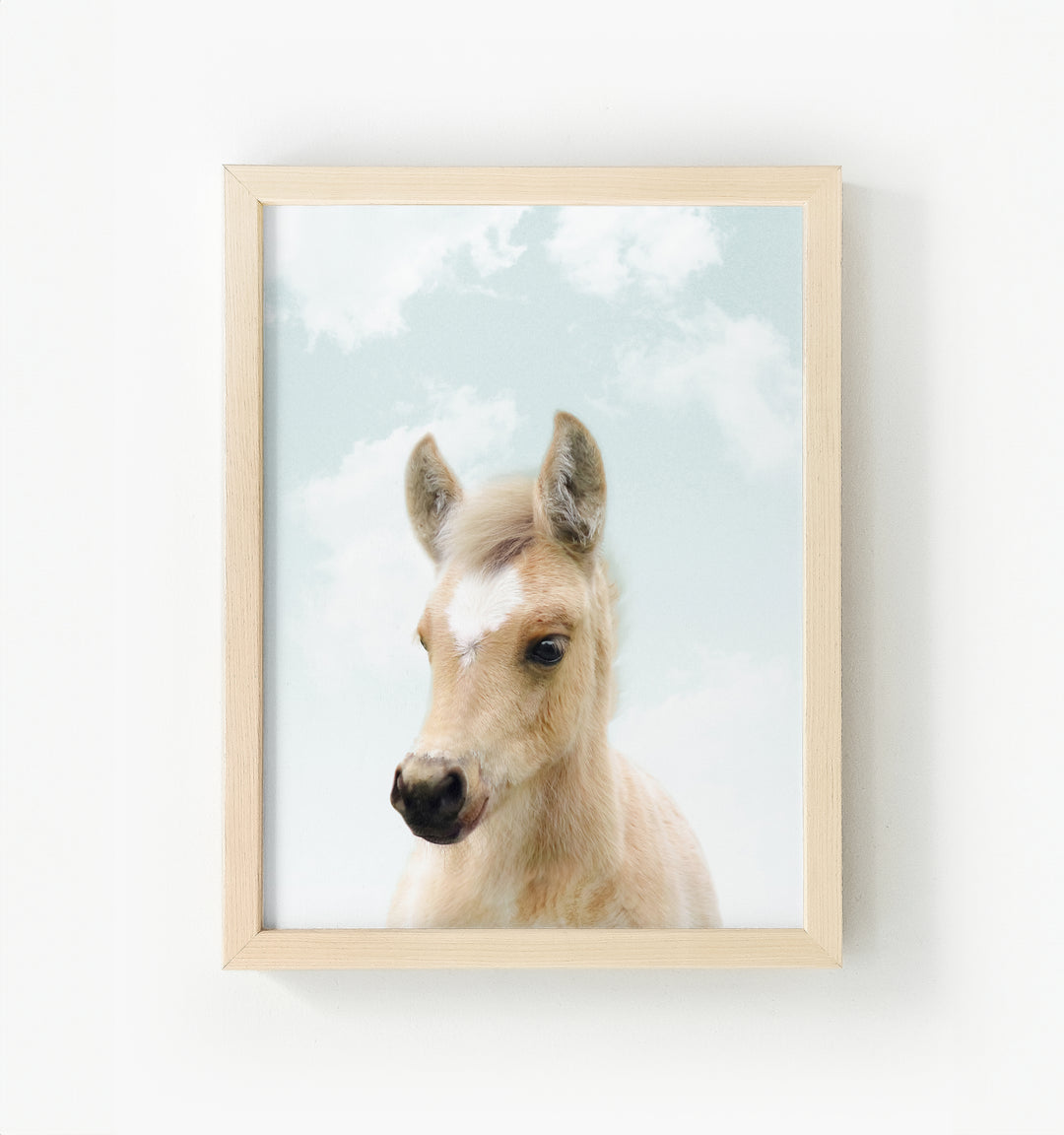 Baby Horse Framed Canvas