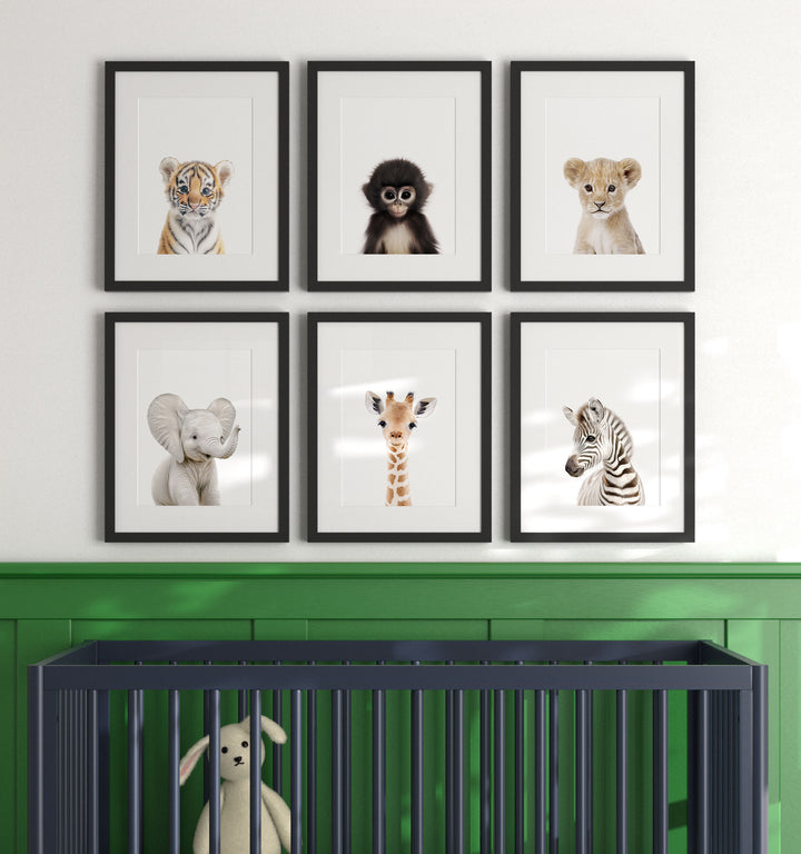 Framed Baby Jungle & Safari Animals Set of 6 Nursery Decor