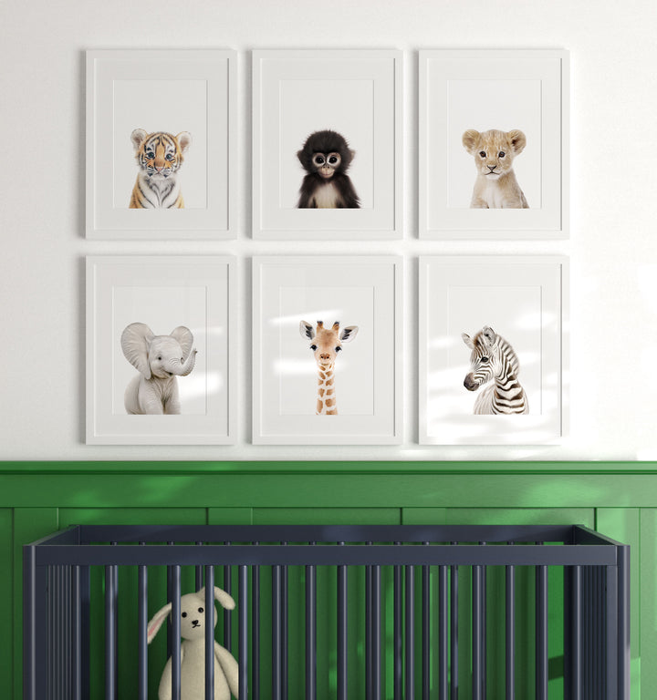 Framed Baby Jungle & Safari Animals Set of 6 Nursery Decor