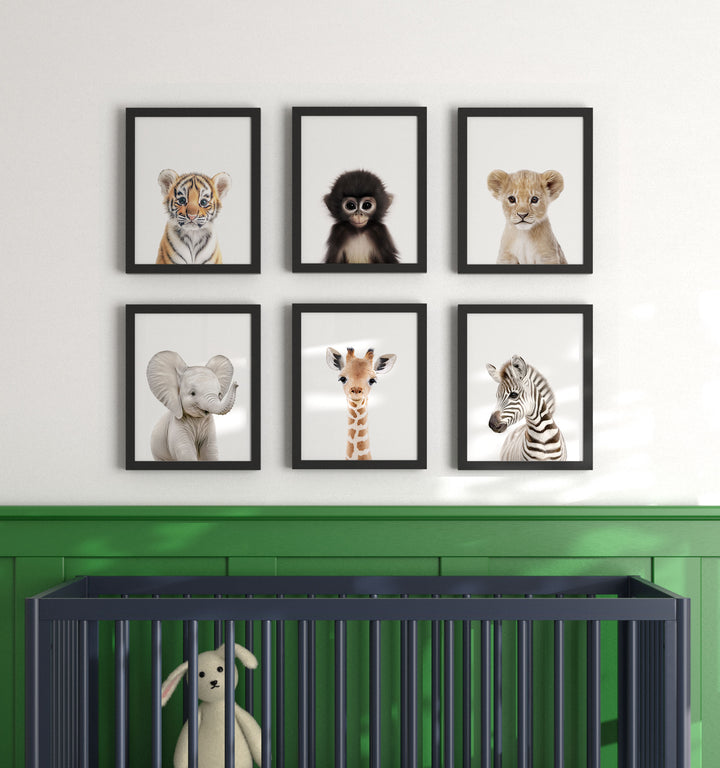 Framed Baby Jungle & Safari Animals Set of 6 Nursery Decor