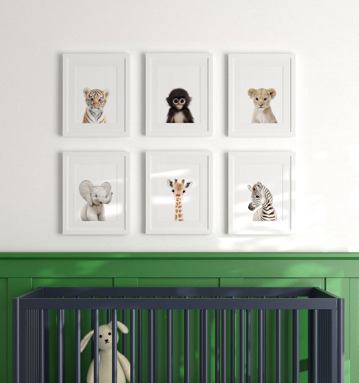 Framed Baby Jungle & Safari Animals Set of 6 Nursery Decor