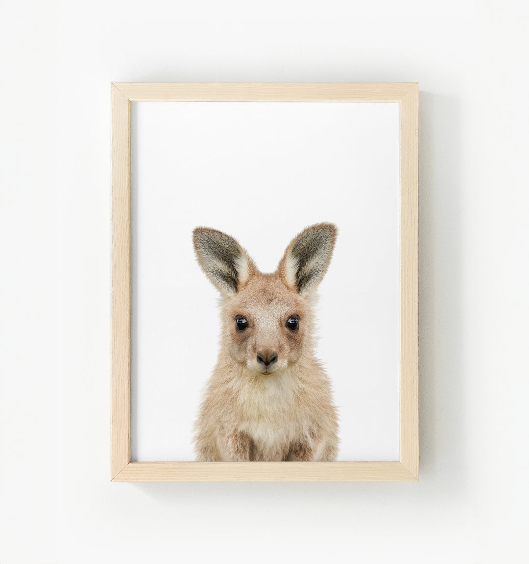 Baby Kangaroo Framed Canvas