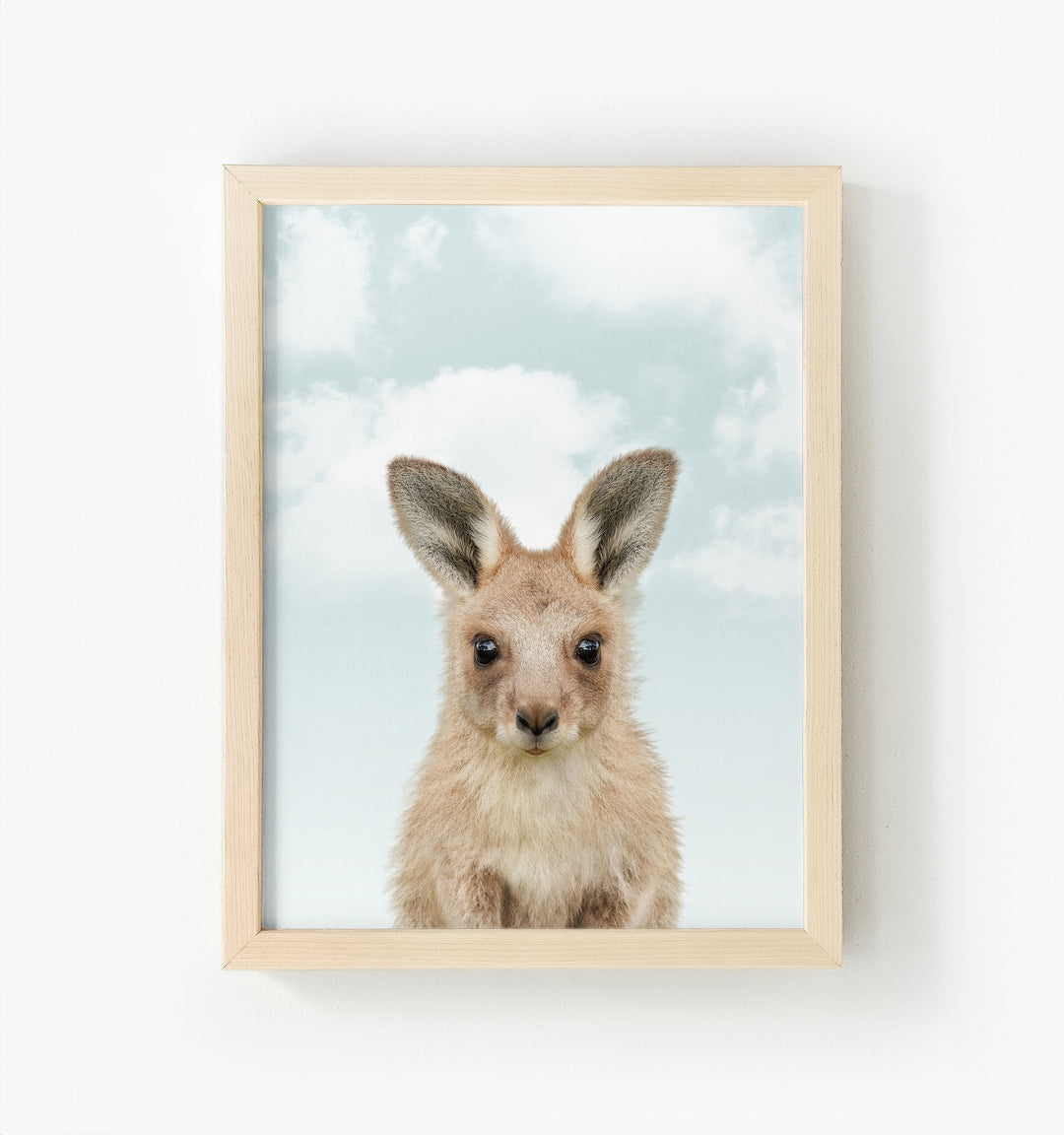 Baby Kangaroo Framed Canvas