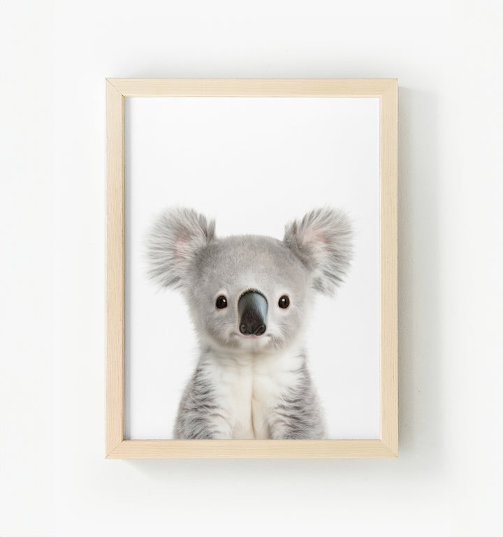 Baby Koala Framed Canvas