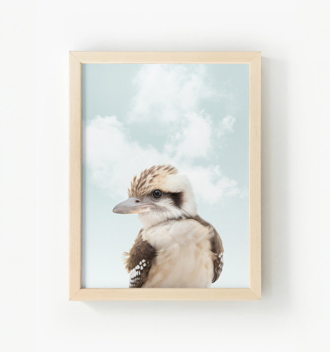 Baby Kookaburra Framed Canvas