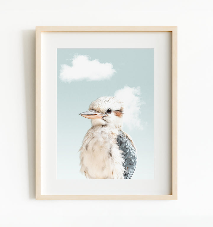 Baby Kookaburra