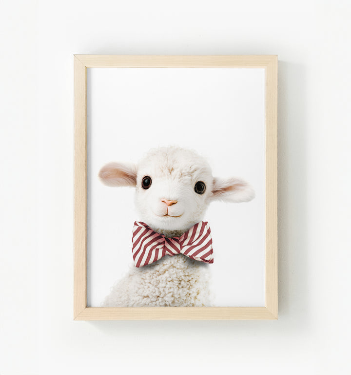 Baby Lamb Framed Canvas