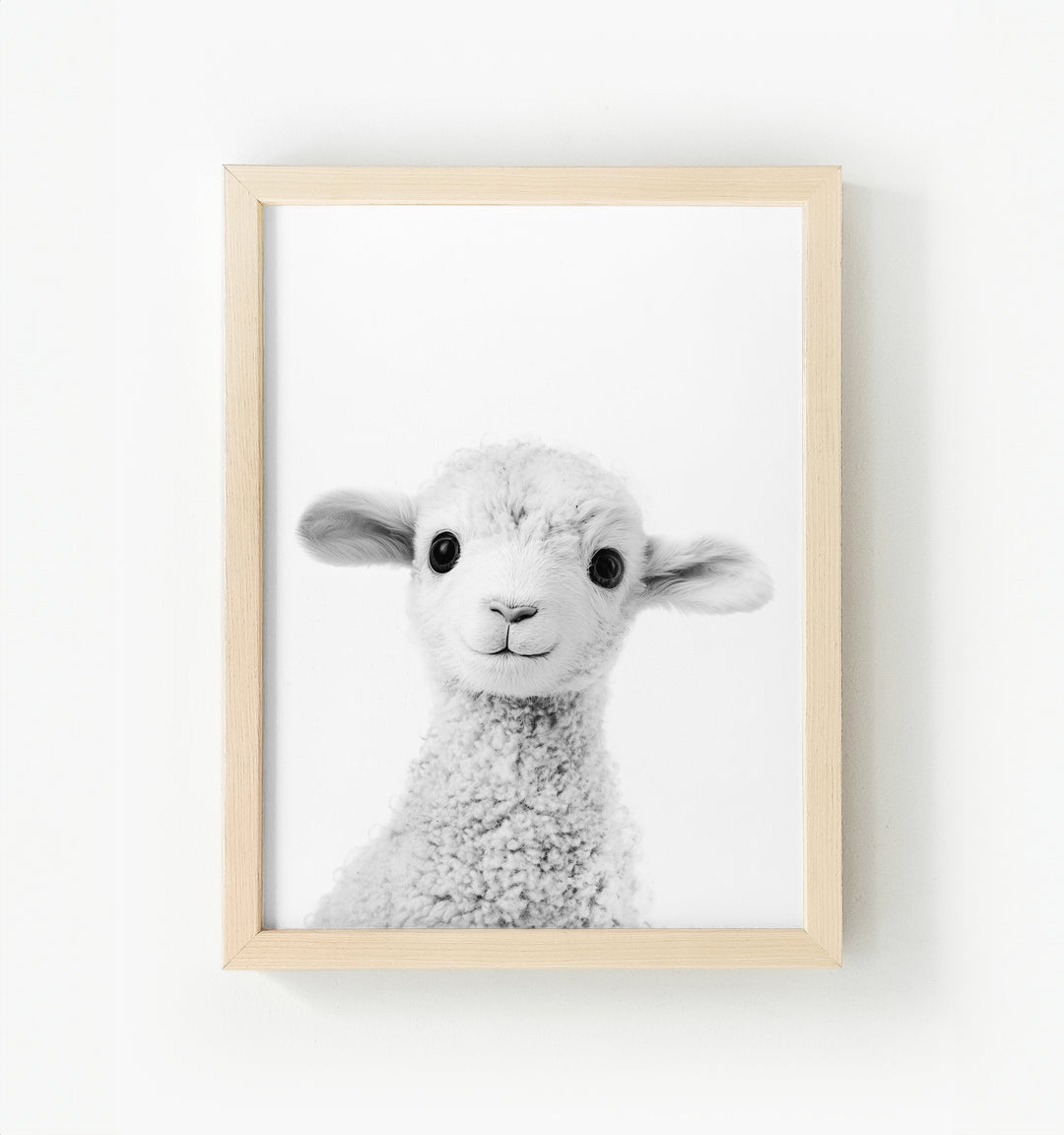 Baby Lamb Framed Canvas