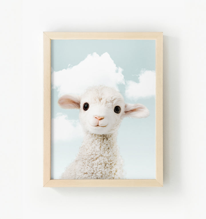 Baby Lamb Framed Canvas