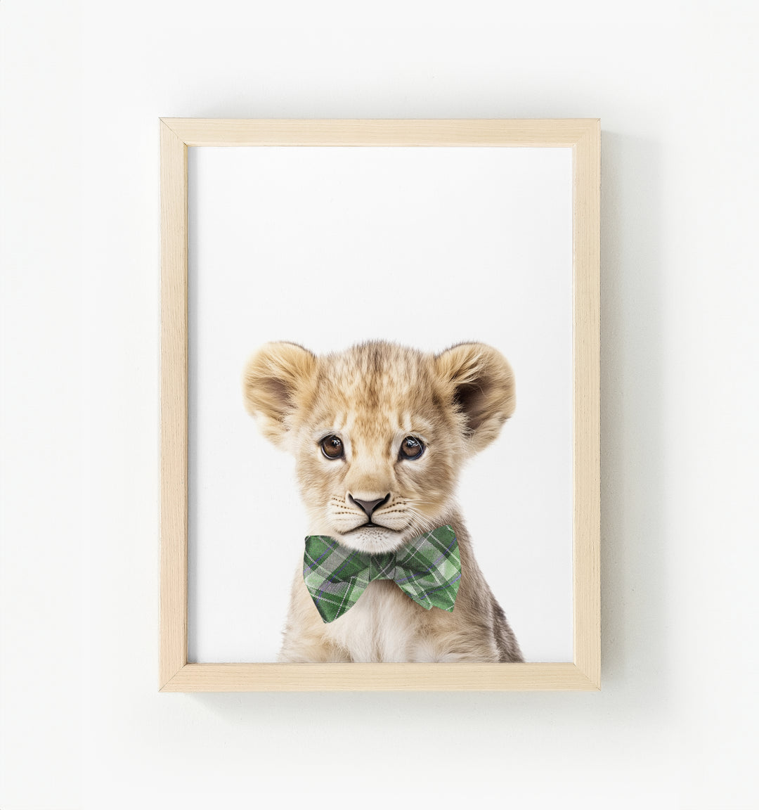 Baby Lion Framed Canvas