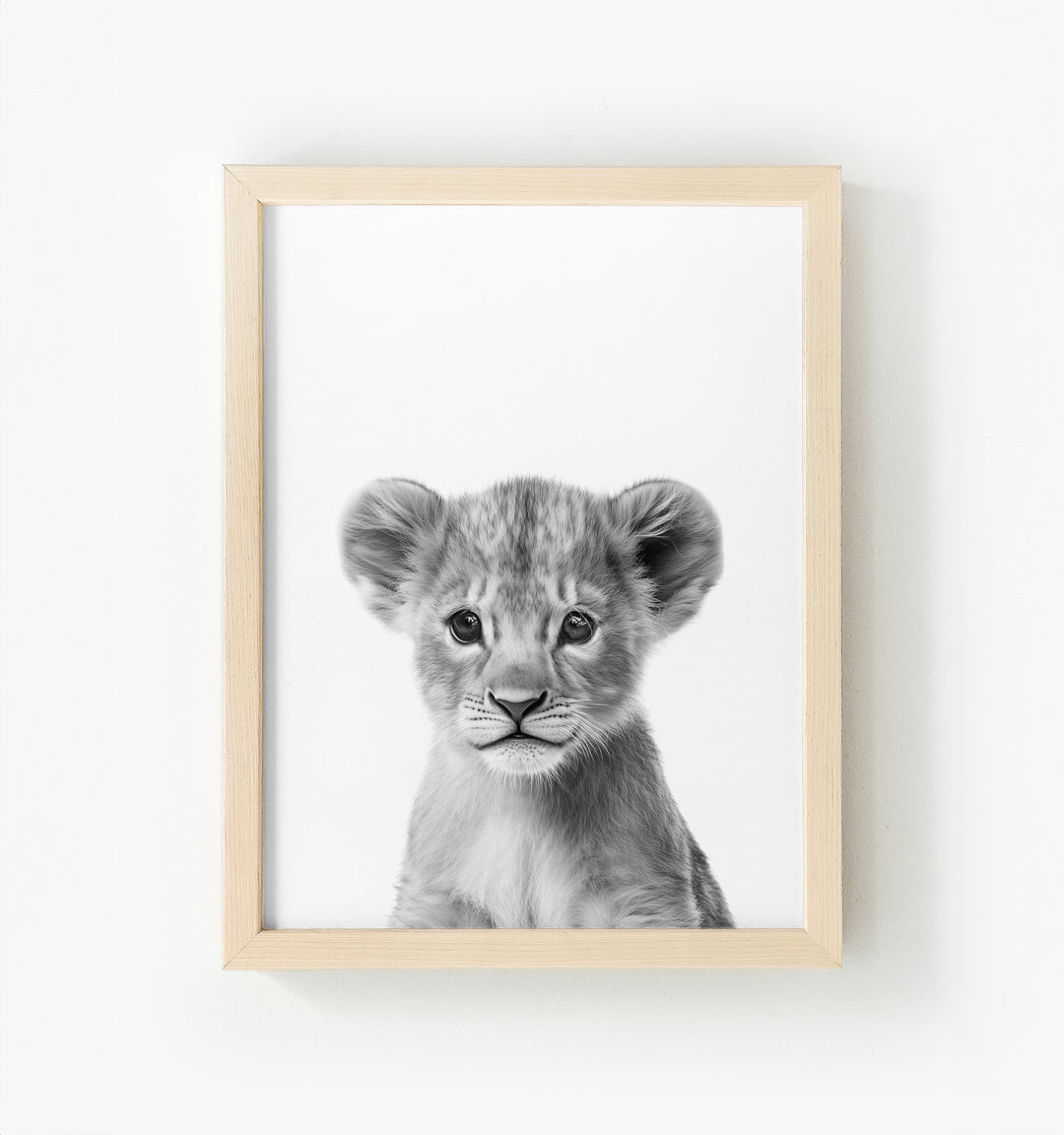 Baby Lion Framed Canvas