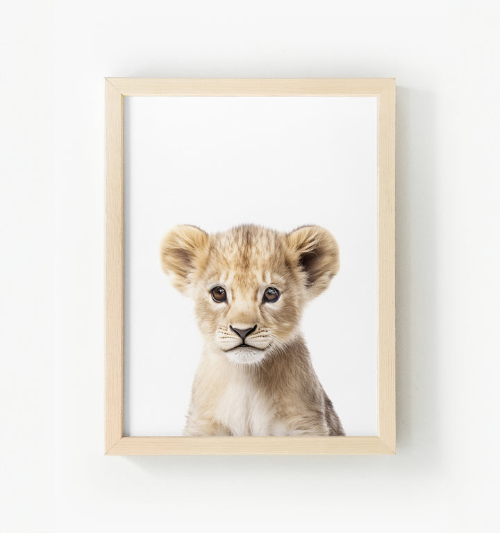 Baby Lion Framed Canvas