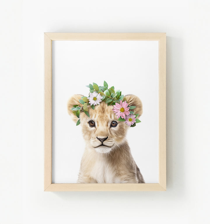 Baby Lion Framed Canvas