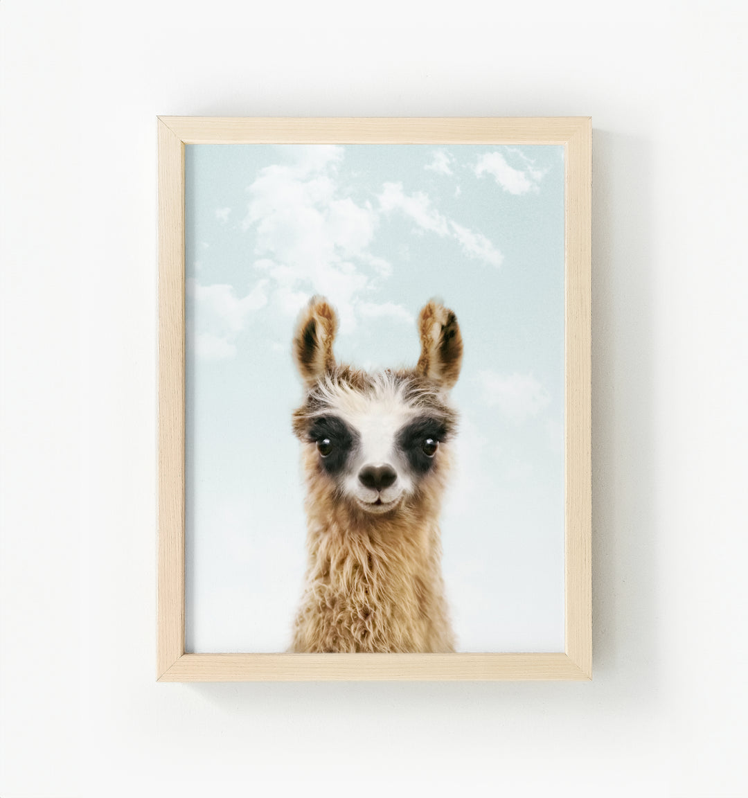 Baby Llama Framed Canvas