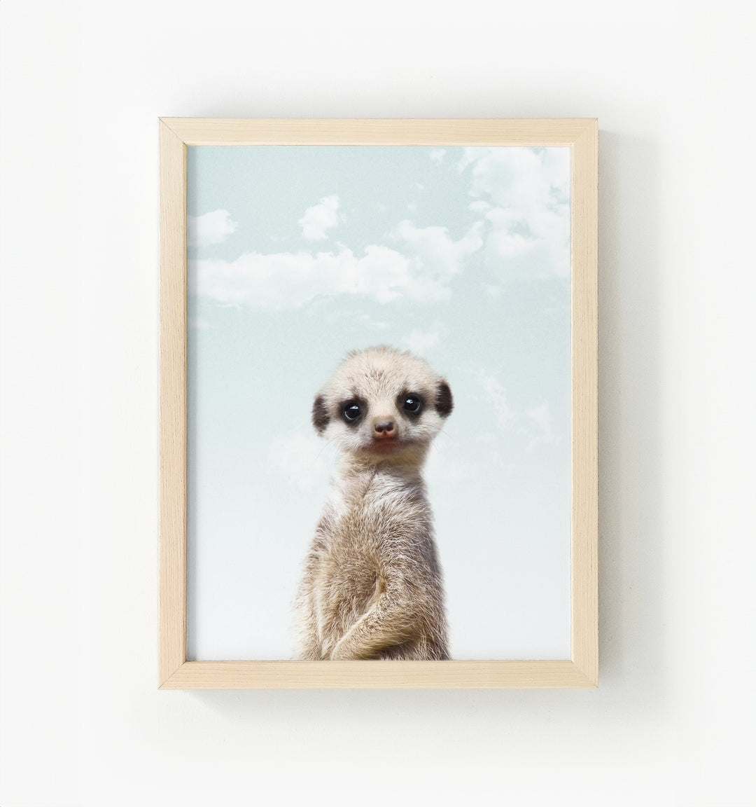 Baby Meerkat Framed Canvas