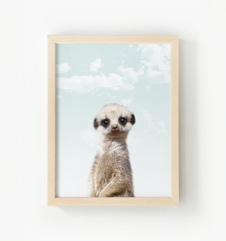 Baby Meerkat Framed Canvas