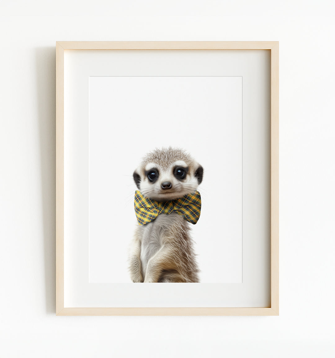 Baby Meerkat