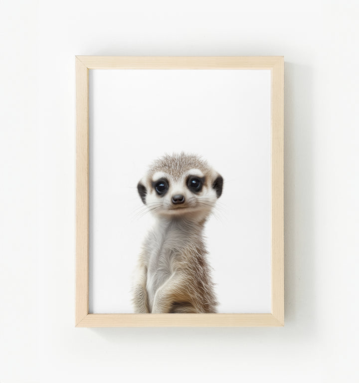 Baby Meerkat Framed Canvas