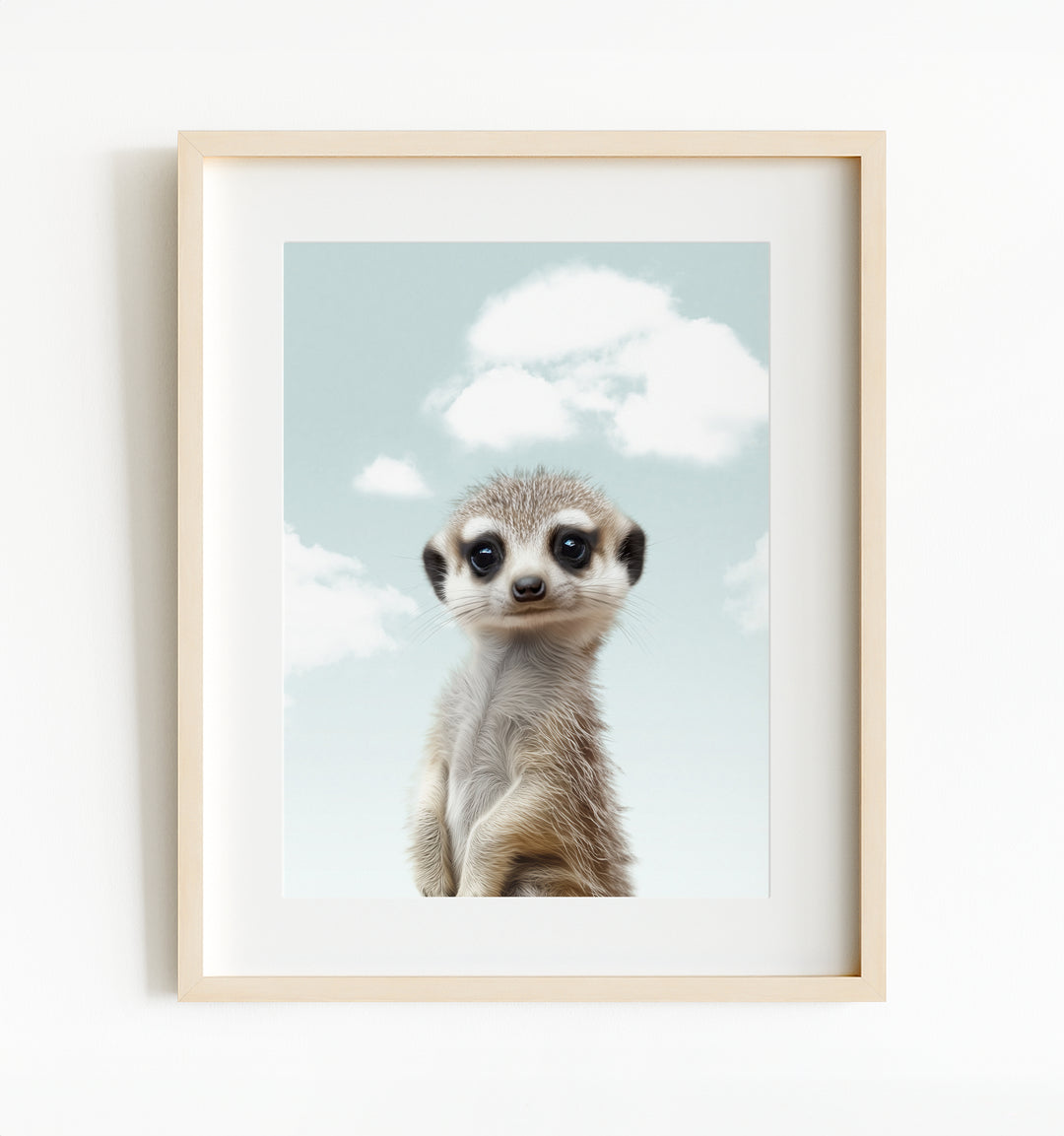 Baby Meerkat