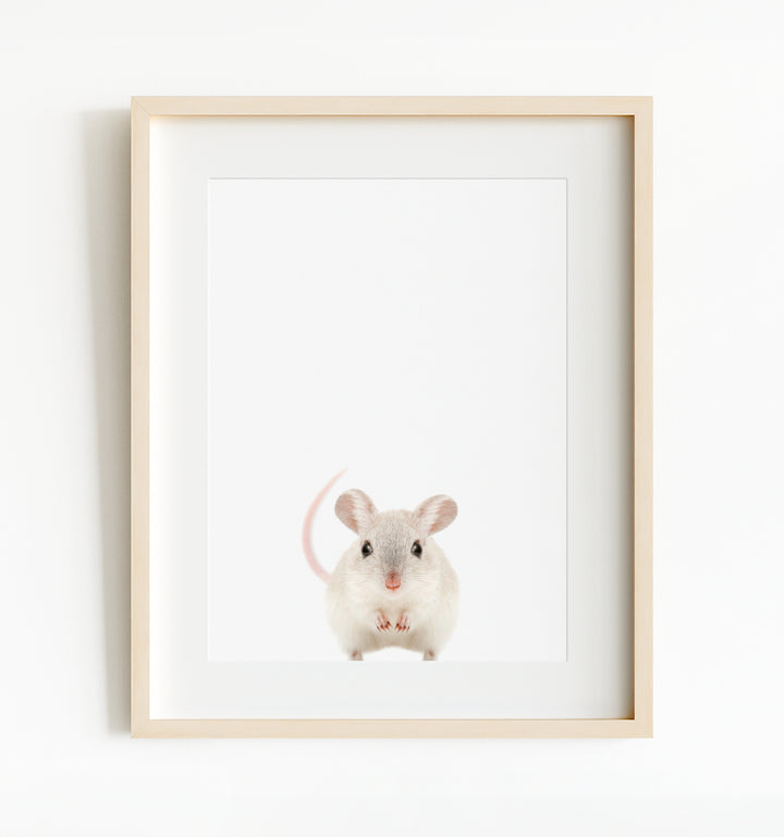 Baby Mouse