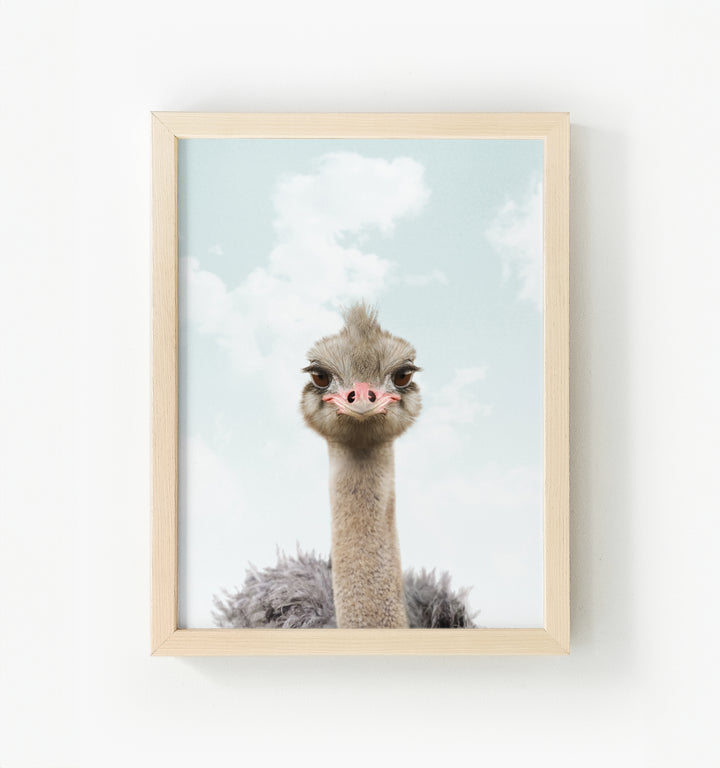 Baby Ostrich Framed Canvas