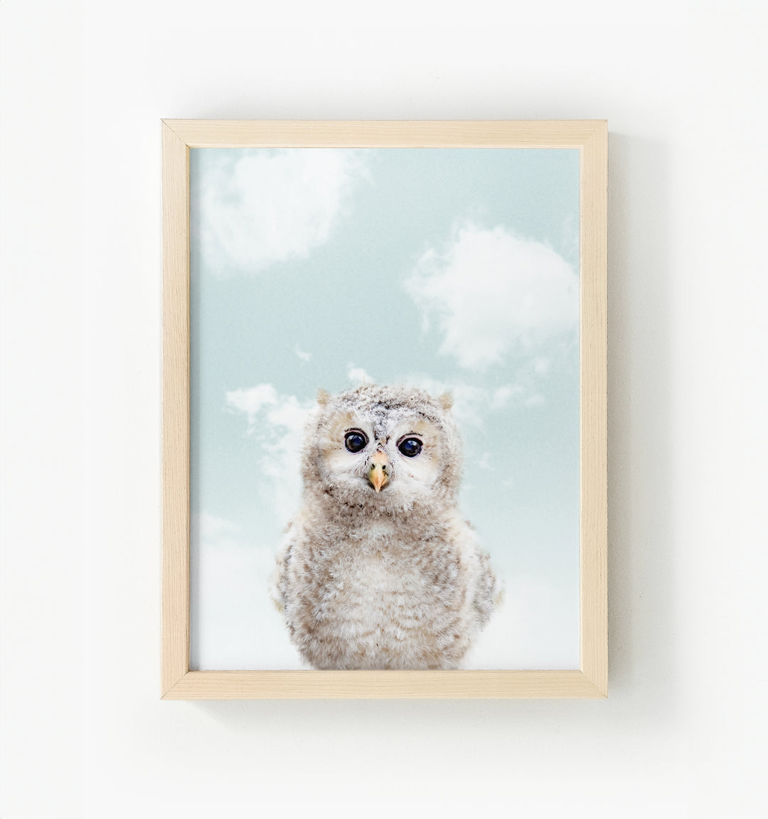 Baby Owl Framed Canvas