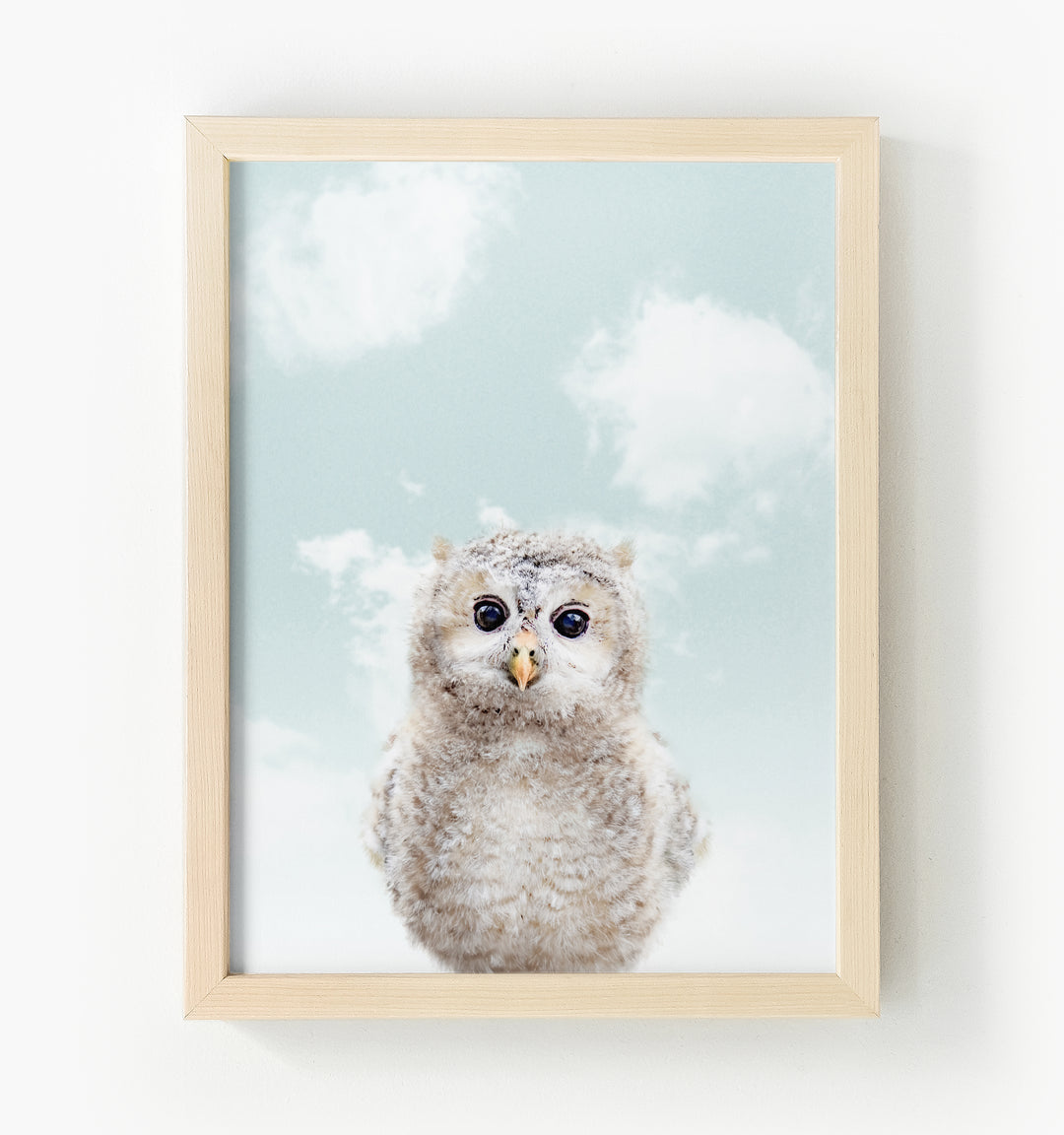 Baby Owl Framed Canvas