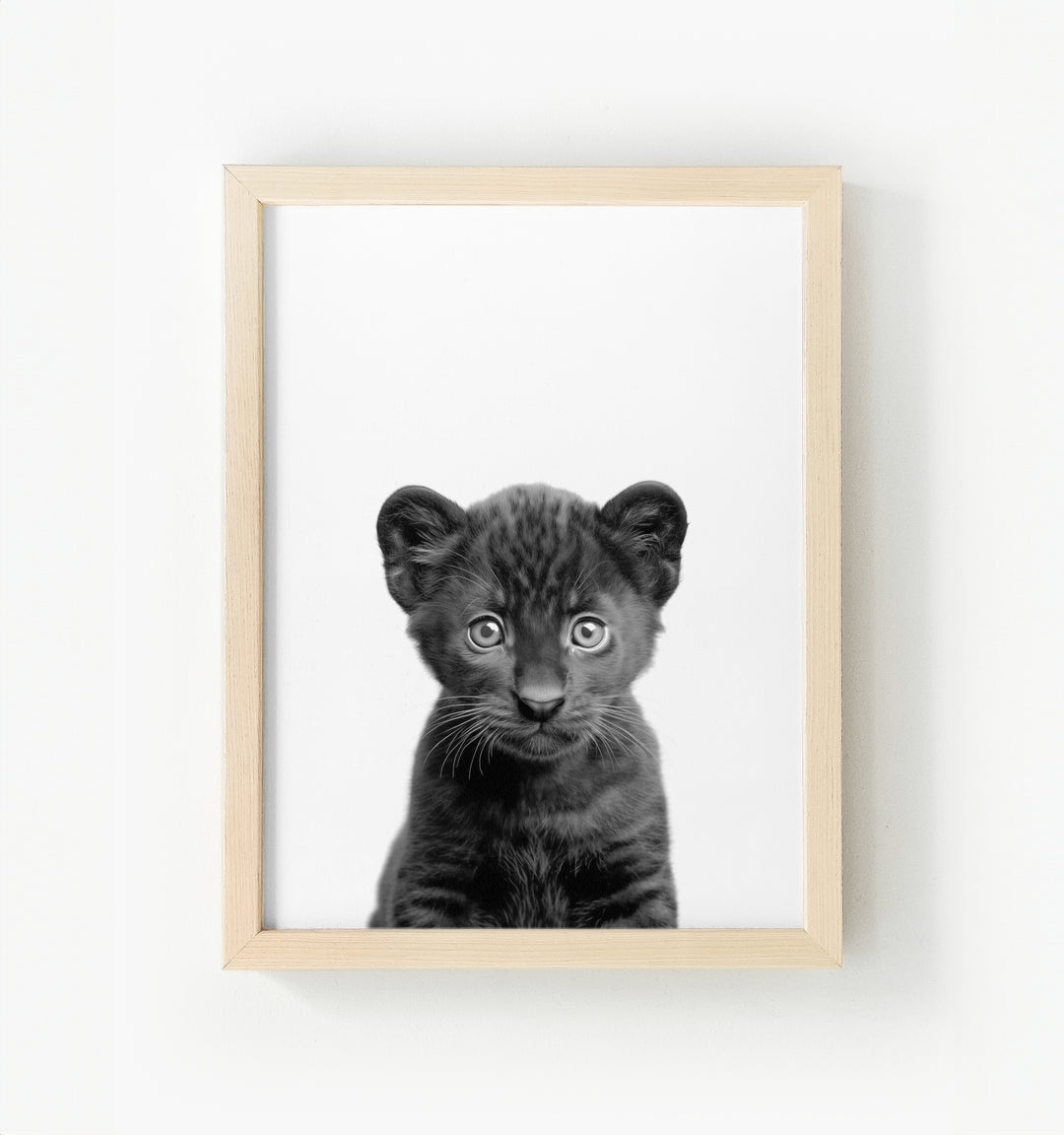 Baby Panther Framed Canvas