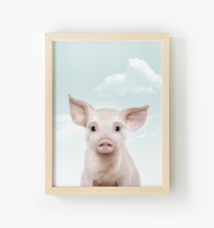 Baby Pig No. 2 Framed Canvas