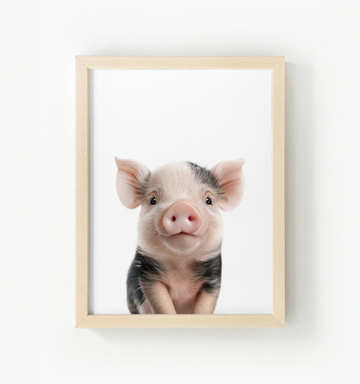 Baby Pig Framed Canvas