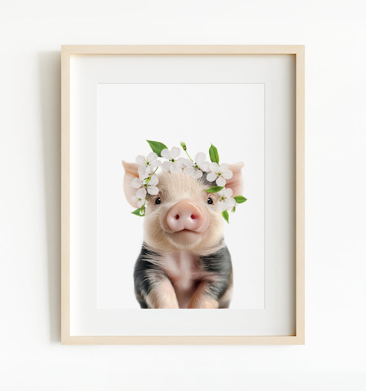 Baby Pig