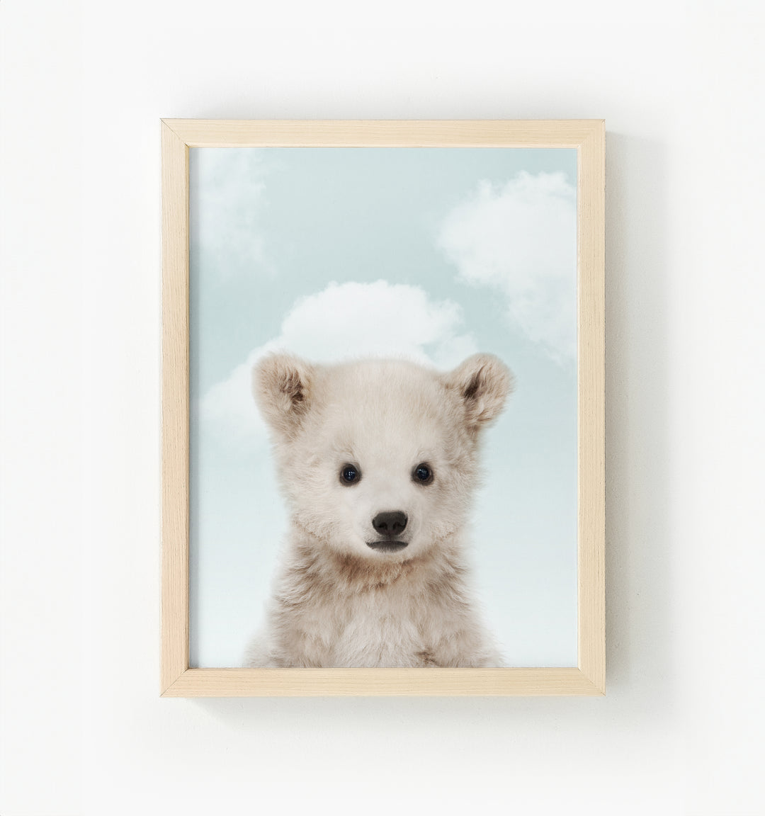 Baby Polar Bear Framed Canvas