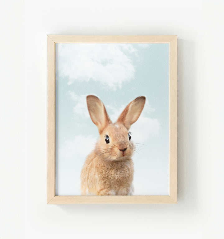 Baby Rabbit No. 2 Framed Canvas